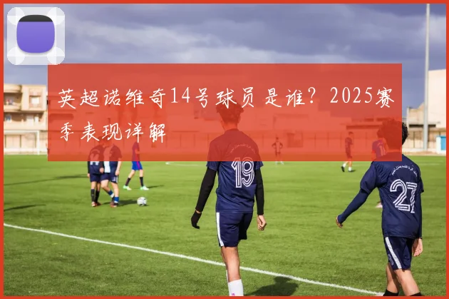 英超诺维奇14号球员是谁？2025赛季表现详解